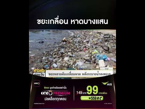 ขยะเกลื่อน หาดบางแสน | สำนักข่าววันนิวส์