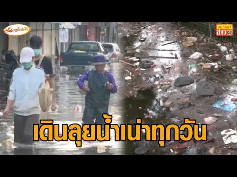 เร่งระบายน้ำ เคหะร่มเกล้า ท่วมขังครบสัปดาห์ ประชาชนเดินลุยน้ำเน่า ฝ่าอุจจาระทุกวัน – ลาดกระบังยังหนัก อัพเดทข่าว
