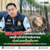 ðððð-:-รมว.สุชาติ-แสดงความเสียใจเหตุช้างป่าทำร้ายประชาชน-เร่