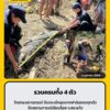 ฝ่ายปกครองอำเภอเขาฉกรรจ์-ร่วมกับผู้นำท้องที่และผู้เกี่ยวข้อง-|-2026-10-03-20:54:00
