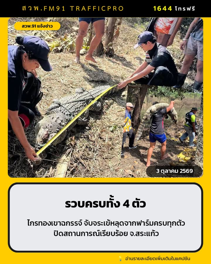 ฝ่ายปกครองอำเภอเขาฉกรรจ์-ร่วมกับผู้นำท้องที่และผู้เกี่ยวข้อง-|-2026-10-03-20:54:00
