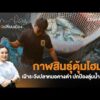 กาฬสินธุ์ตุ้มโฮม เฝ้าระวังปลาหมอคางดำ ปกป้องลุ่มน้ำลำปาว | เสียงเปลี่ยนเมือง 5 ต.ค. 69