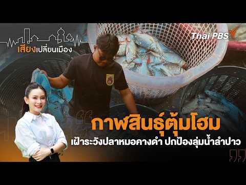 กาฬสินธุ์ตุ้มโฮม เฝ้าระวังปลาหมอคางดำ ปกป้องลุ่มน้ำลำปาว | เสียงเปลี่ยนเมือง 5 ต.ค. 69