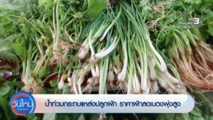 น้ำท่วมส่งผลกระทบผักแพง-ในจังหวัดภาคใต้-ข่าวใต้แลได้ที่เรา