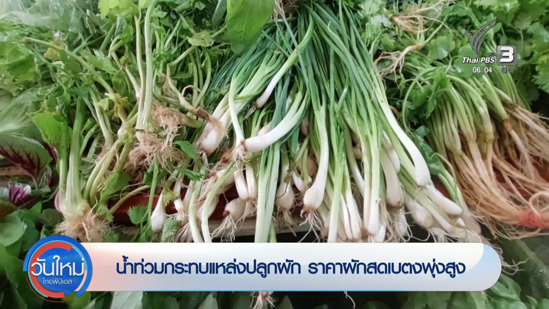 น้ำท่วมส่งผลกระทบผักแพง-ในจังหวัดภาคใต้-ข่าวใต้แลได้ที่เรา