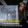 แมลงวันหัวเขียวอันต่ำต้อยขึ้นชื่อเรื่องการกินมูลและซากสัตว์