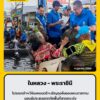 พระบาทสมเด็จพระเจ้าอยู่หัว-และสมเด็จพระนางเจ้าฯ-พระบรมราชินี-|-2026-10-04-22:08:00