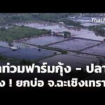 น้ำท่วมฟาร์มกุ้งปลา เจ๊ง ยกบ่อ จ.ฉะเชิงเทรา 6 ต.ค. 69