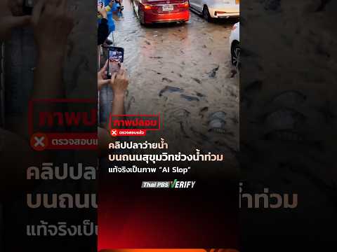 คลิปปลาว่ายน้ำบนถนนช่วงน้ำท่วม แท้จริงเป็นภาพ AI Slop : Truth-Take a look at ให้ชัวร์ กับ Thai PBS Compare