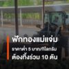 ฟักทองแม่แจ่มราคาตกเหลือ-3-5-บาท/กก.-ผลผลิต-10-ตันถูกนำไปทิ้