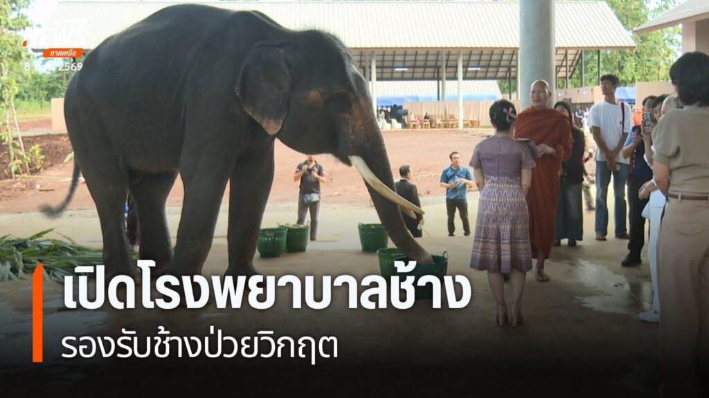 คณะสัตวแพทยศาสตร์-มหาวิทยาลัยเชียงใหม่-จัดพิธีเปิด-อาคารโรงพ