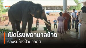 คณะสัตวแพทยศาสตร์-มหาวิทยาลัยเชียงใหม่-จัดพิธีเปิด-อาคารโรงพ