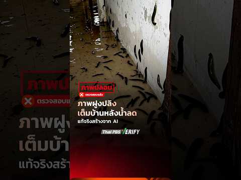 ภาพฝูงปลิงเต็มบ้านหลังน้ำลด แท้จริงสร้างจาก AI : Truth-Compare ให้ชัวร์ กับ Thai PBS Compare