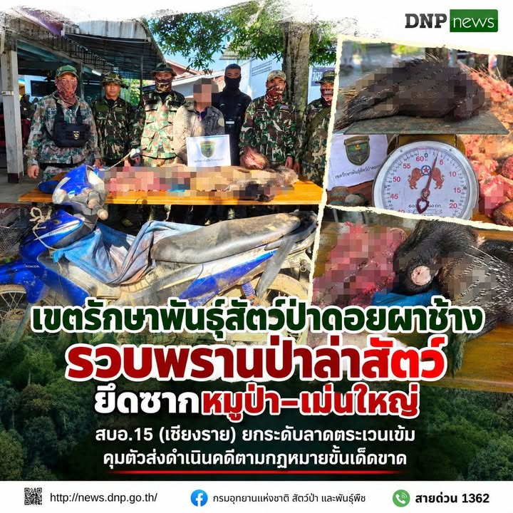 ðððð-:เขตรักษาพันธุ์สัตว์ป่าดอยผาช้าง-รวบพรานป่าล่าสัตว์ยึดซ