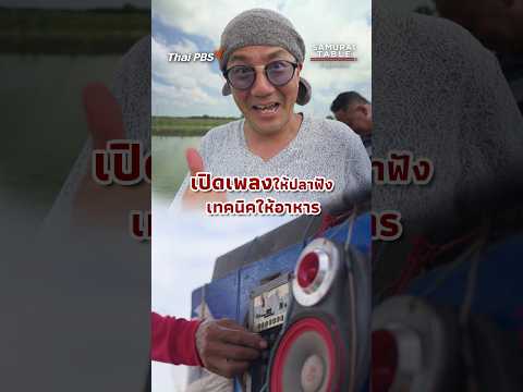 เปิดเพลงให้ปลาฟัง #SamuraiTable #ซามูไรรสไทย ThaiPBS
