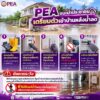 -pea-แนะนำประชาชนเตรียมตัวเข้าบ้านหลังน้ำลด-การไฟฟ้าส่วนภู-|-2026-10-11-04:13:00
