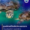️-||เรื่องเล่าขอบเรือ||-️เปิดมุมมองเบื้องหลังภารกิจของคนทำ