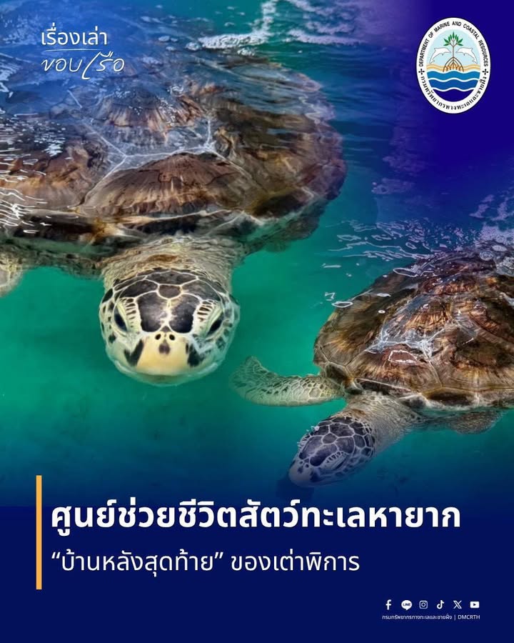 ️-||เรื่องเล่าขอบเรือ||-️เปิดมุมมองเบื้องหลังภารกิจของคนทำ